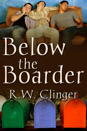 Cover of the book Below the Boarder by Ruby Moone