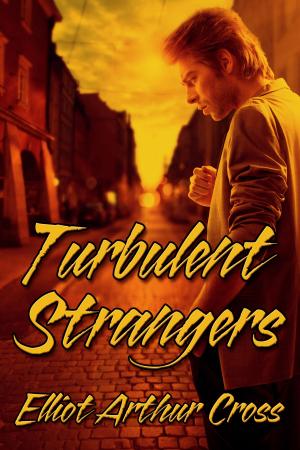 Cover of the book Turbulent Strangers by J.M. Snyder