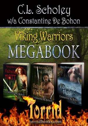 Book cover of Viking Warriors Megabook
