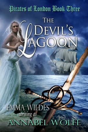 Cover of the book The Devil's Lagoon by Susan K. Droney