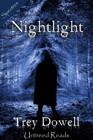 Cover of the book Nightlight by Dorien Grey