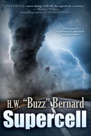 Cover of the book Supercell by D. B. Reynolds