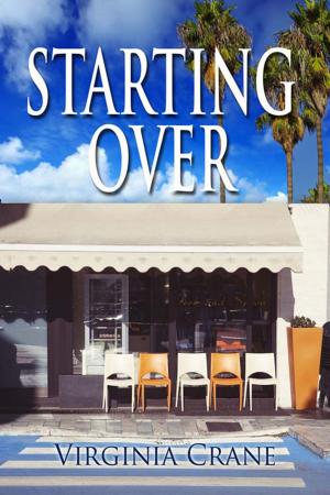 Cover of the book Starting Over by Jannine  Corti-Petska