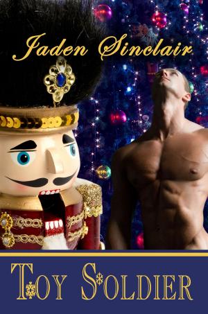 Book cover of Toy Soldier