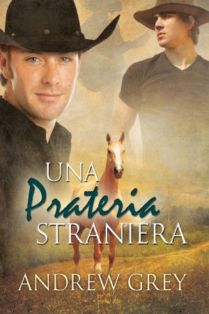 Cover of the book Una prateria straniera by Andrew Grey