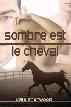 Cover of the book Sombre est le cheval by Noah Willoughby, B.G. Thomas