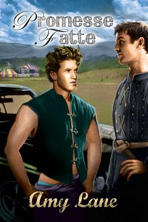 Cover of the book Promesse fatte by Avon Gale
