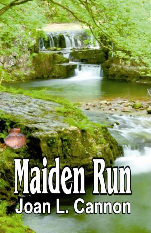 Cover of the book Maiden Run by D. Love