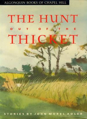 Cover of the book The Hunt Out of the Thicket by Nina de Gramont