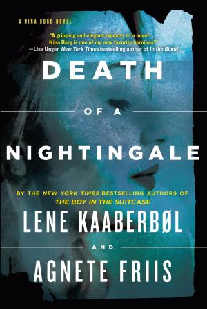Book cover of Death of a Nightingale (Nina Borg #3)
