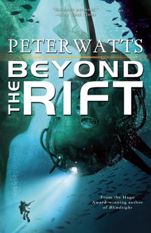 Cover of the book Beyond the Rift by gipsika
