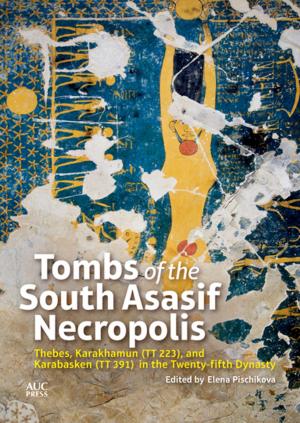bigCover of the book Tombs of the South Asasif Necropolis by 