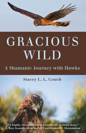Cover of the book Gracious Wild by Gablik, Suzi