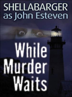 Cover of the book While Murder Waits by Andrew Tully