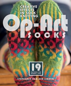 Cover of the book Op-Art Socks by Carrie Schmitt