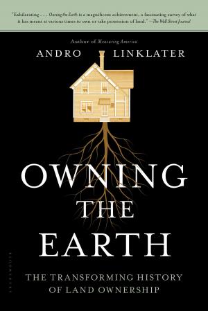 Cover of the book Owning the Earth by April D. DeConick