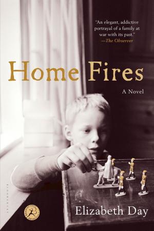 Cover of the book Home Fires by Bertolt Brecht