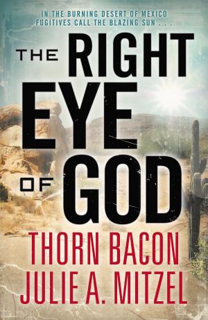 bigCover of the book The Right Eye of God by 