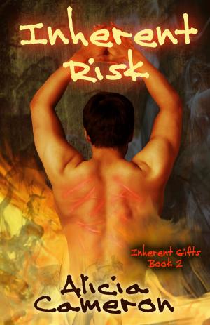 Cover of the book Inherent Risk by Jamie Freeman