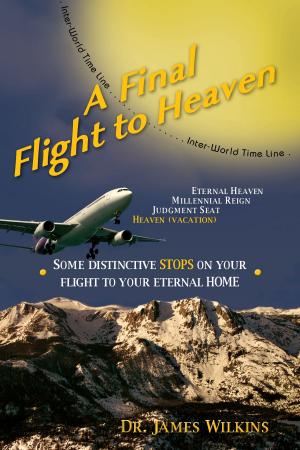 Cover of the book A Final Flight to Heaven by Dale Morrison, Dr. Jacob West