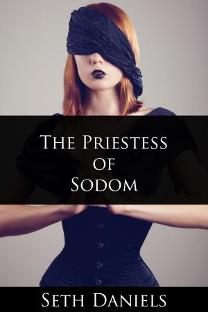 Cover of the book The Priestess of Sodom by Kathryn Taylor