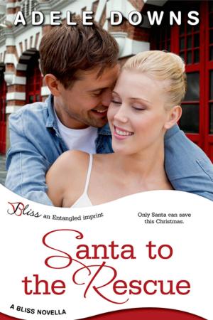 Cover of the book Santa to the Rescue by Jess Macallan