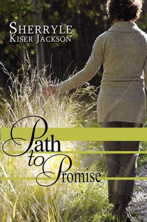 Cover of the book Path to Promise by Terra Little