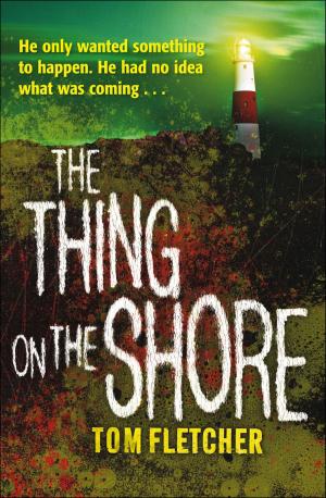 Cover of the book The Thing on the Shore by Ray S. Leki