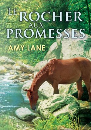 Cover of the book Le rocher aux promesses by Suzanne Cass