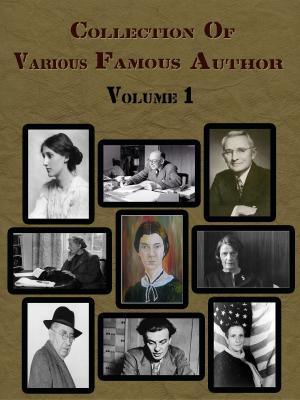 Book cover of Collection Of Various Famous Authors Volume 1
