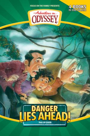 Cover of Danger Lies Ahead!