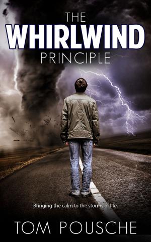 Cover of the book The Whirlwind Principle by Craig Gross