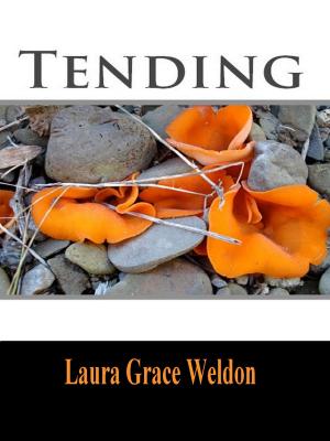Book cover of Tending