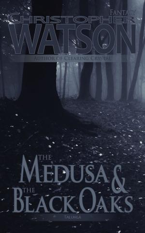 Cover of the book The Medusa & The Black Oaks by J.A. Hailey