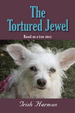 Cover of the book The Tortured Jewel by Christopher B. Emery