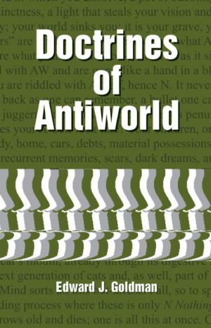 Cover of the book Doctrines of Antiworld by Pamela Kribbe