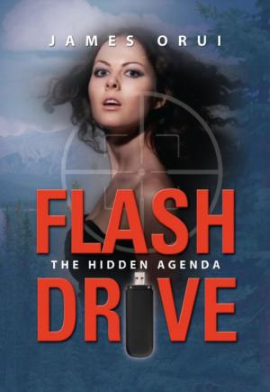 Cover of the book Flash Drive - The Hidden Agenda by John G. Schieman