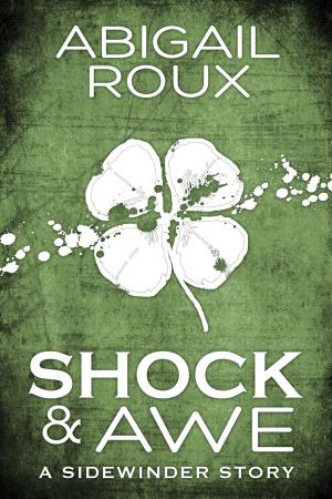 Cover of the book Shock & Awe by Rachel Haimowitz, Heidi Belleau