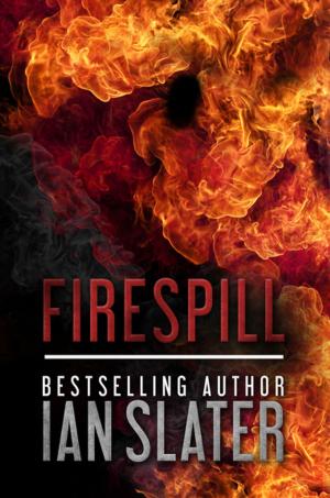 Cover of the book Firespill by S.E. Hinton