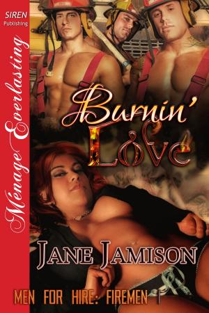 Cover of the book Burnin' Love by Samantha Blair