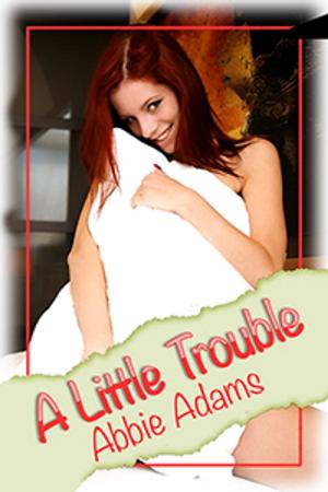 Cover of the book A Little Trouble by Sharron Kelley