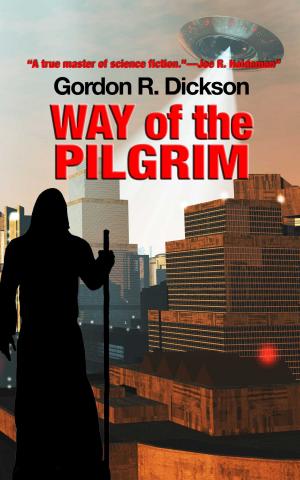 Cover of the book Way of the Pilgrim by David J. Skinner