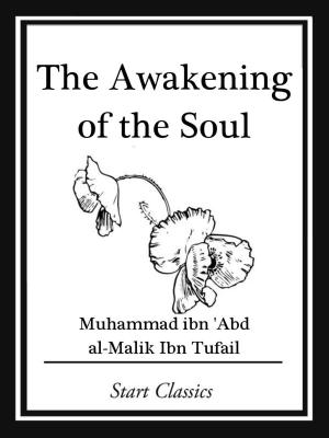 bigCover of the book The Awakening of the Soul by 