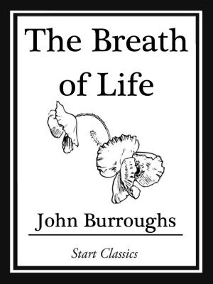 Cover of the book The Breath of Life by Basil King