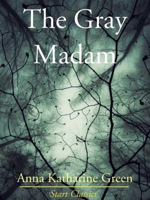 Book cover of The Gray Madam