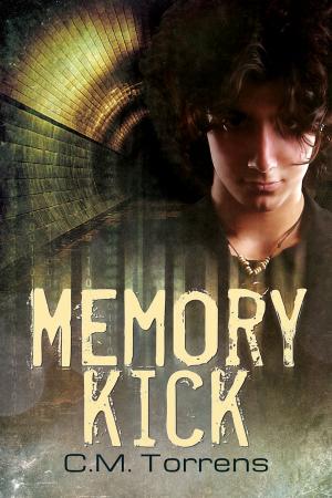 Cover of the book Memory Kick by J.T. Twerell