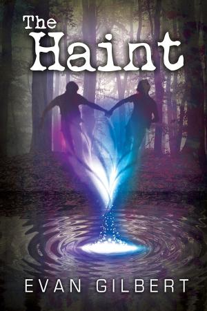 Cover of the book The Haint by MC Lee