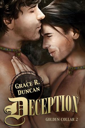 Cover of the book Deception by Ariel Tachna
