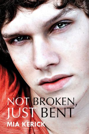 Cover of the book Not Broken, Just Bent by Amy Lane