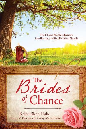 Cover of the book The Brides of Chance Collection by Bonnie Blythe, Pamela Griffin, Kelly Eileen Hake, Gail Gaymer Martin, Tamela Hancock Murray, Jill Stengl